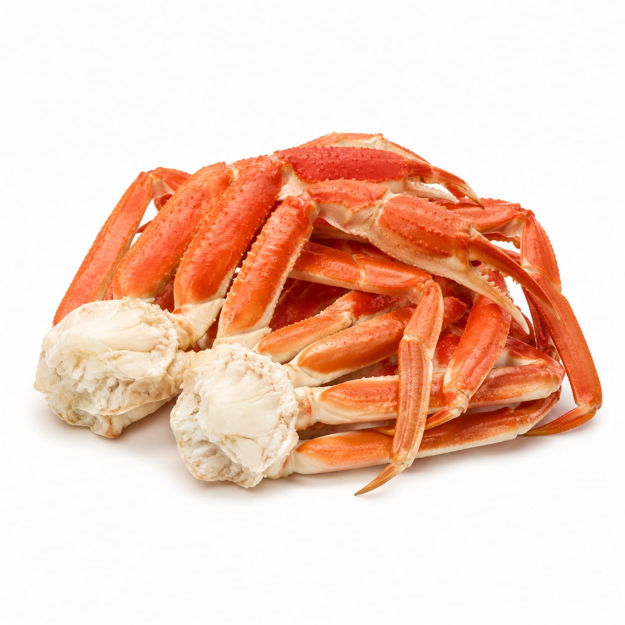 Snow Crab