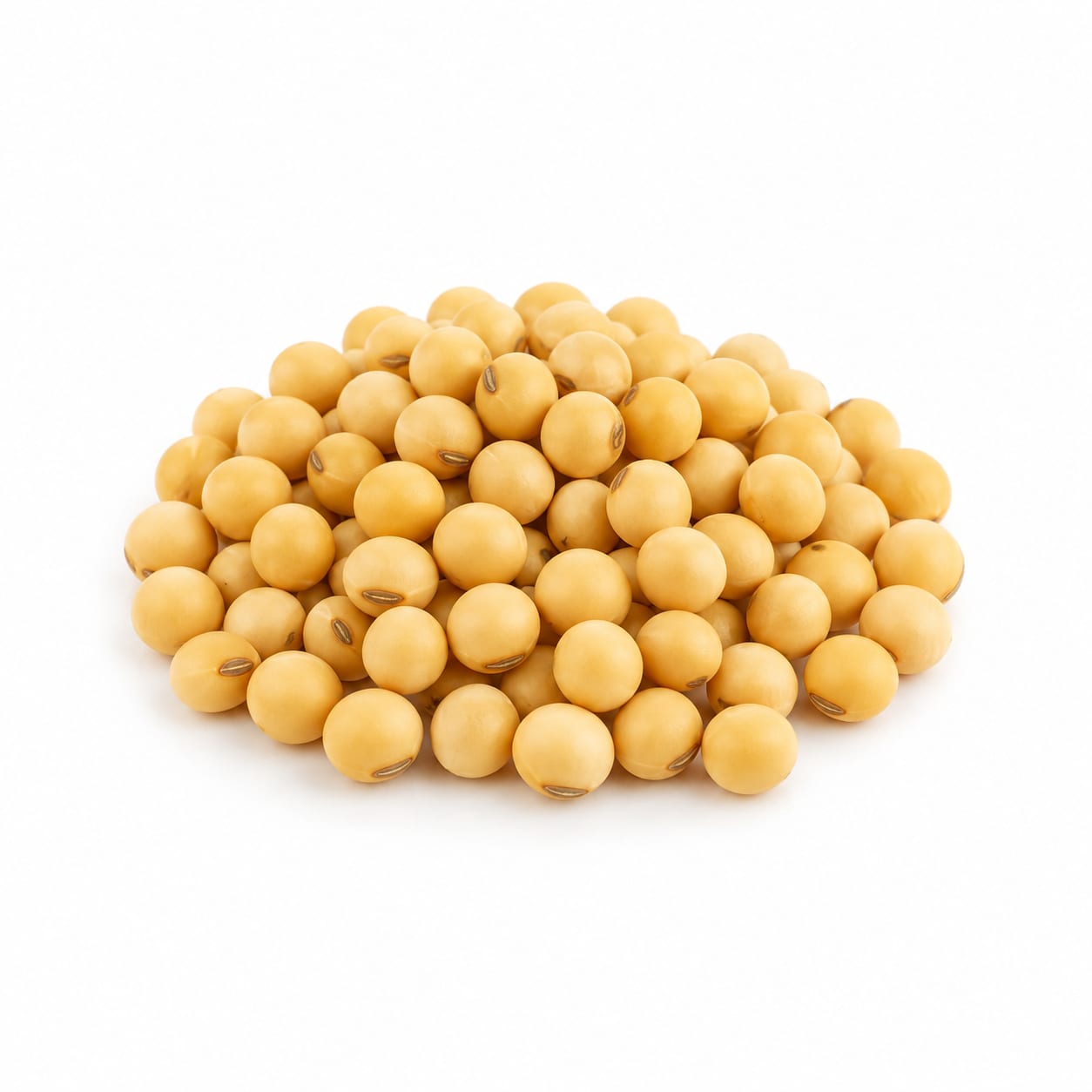 Soybean