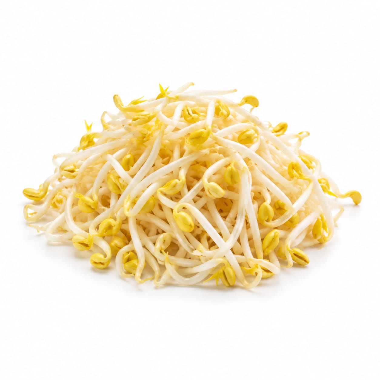 Soybean Sprouts