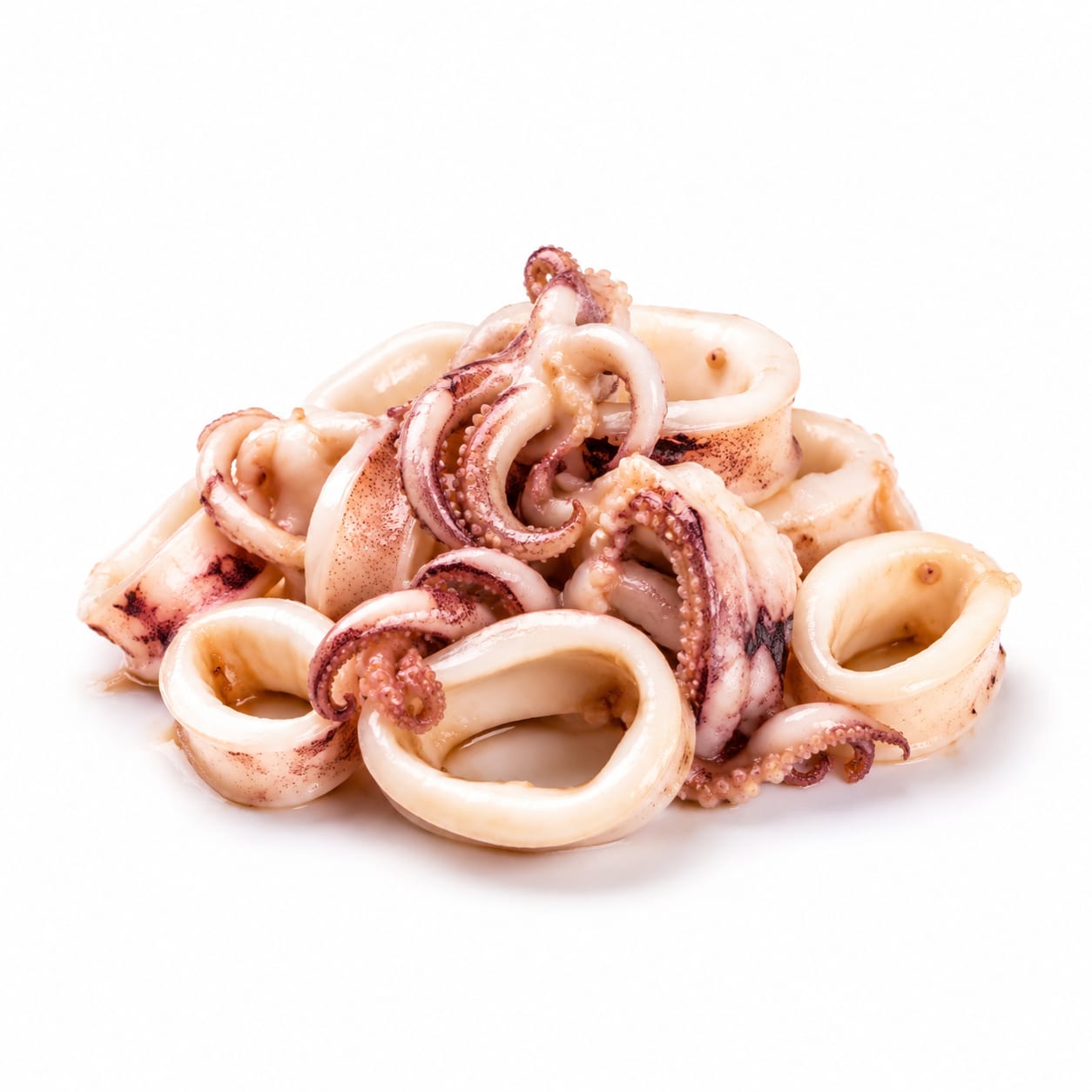 Squid
