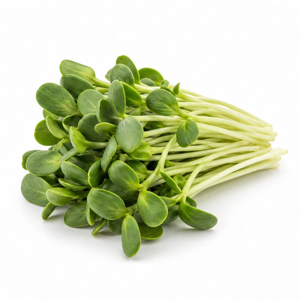 Sunflower Shoots
