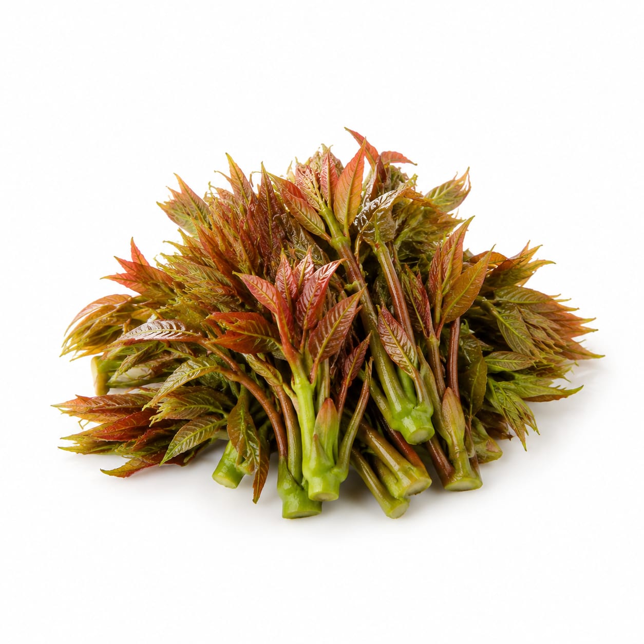 Toona Sinensis