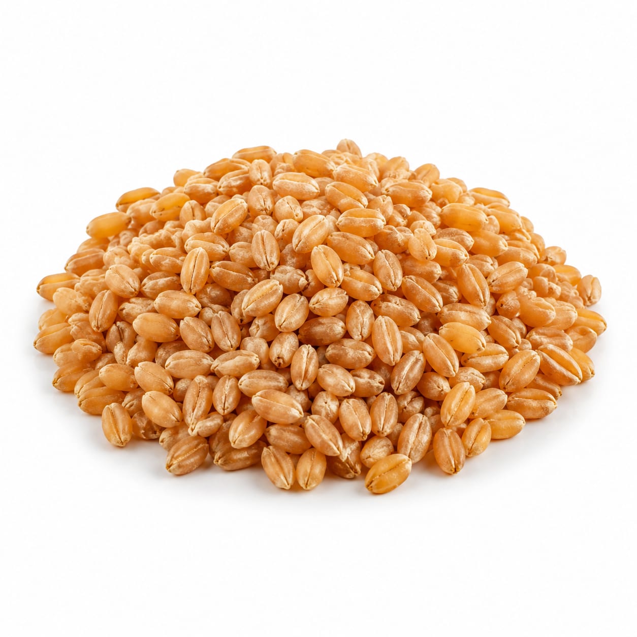 Wheat