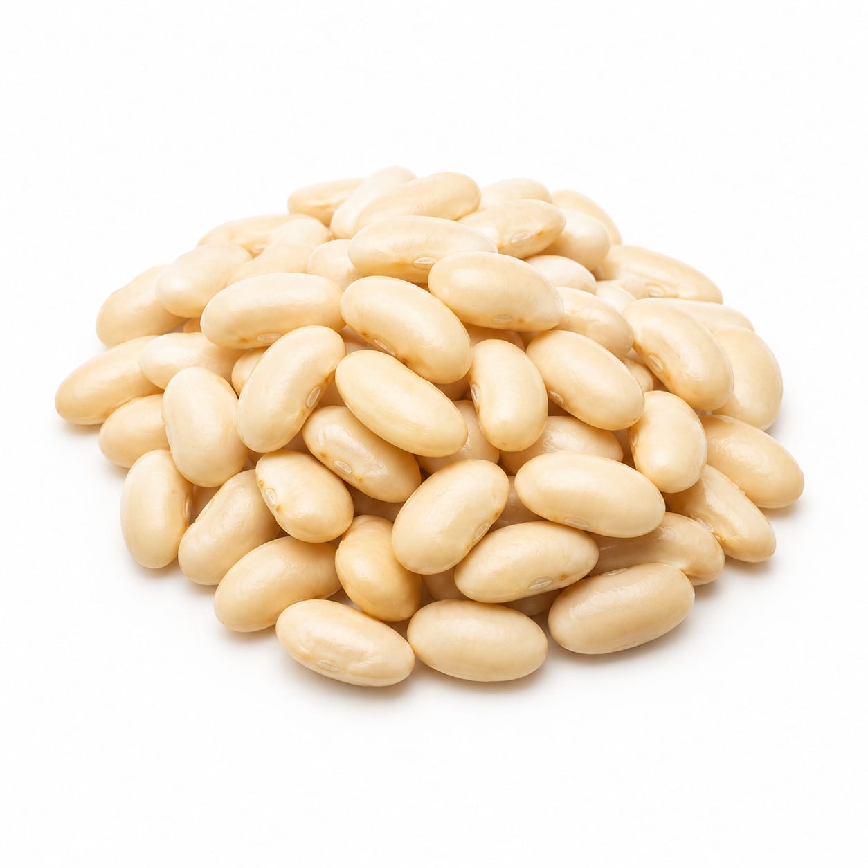 White Bean